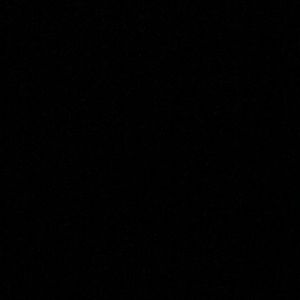 Meet your Posher, Jackson